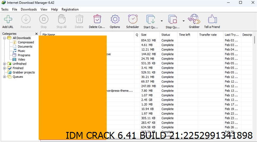 Idm Crack 6.41 Build 21 Screenshot